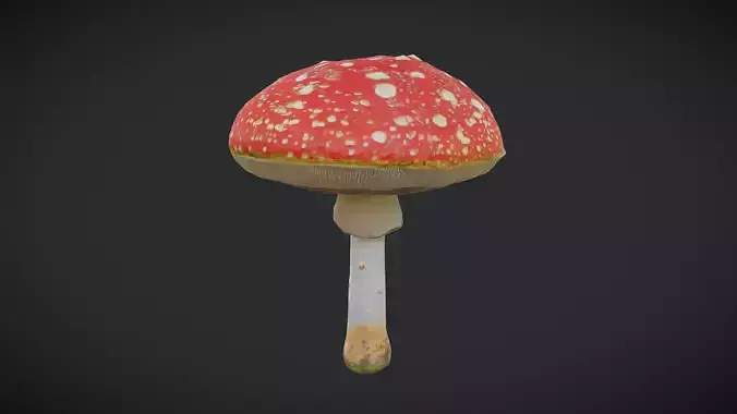 Fly Agaric 2