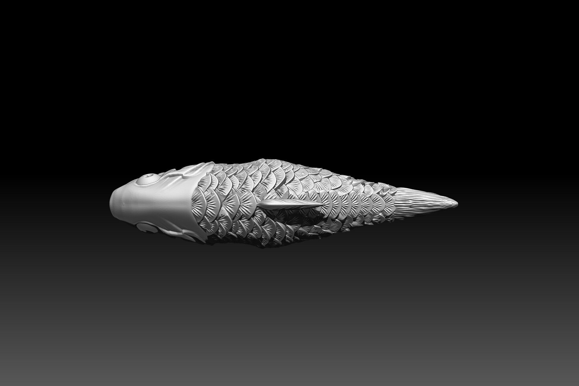 KATLA Fish 3D Model FOR 3D Printed 3D print model_6