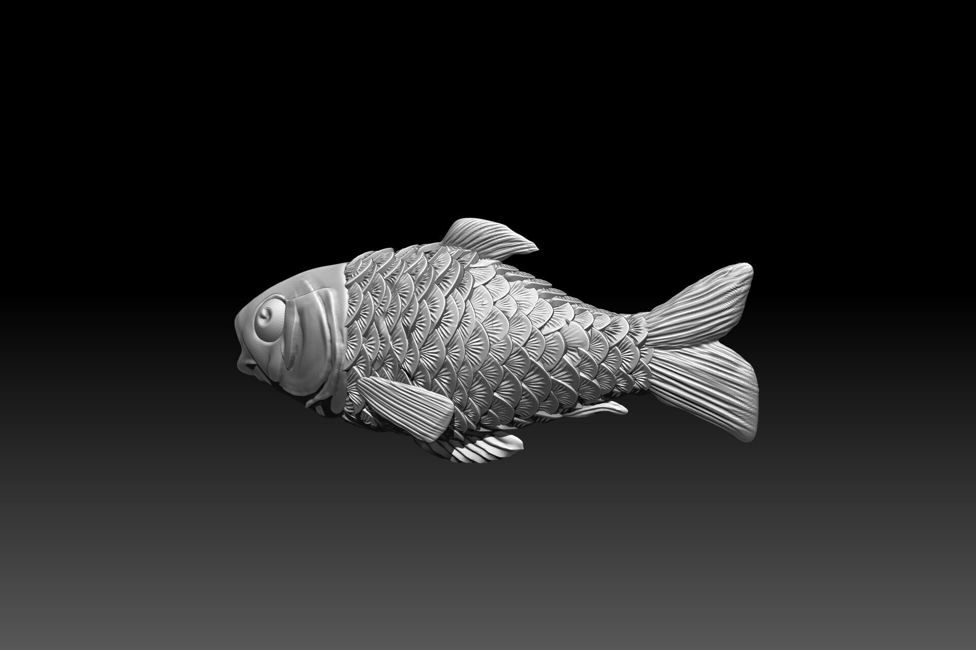 KATLA Fish 3D Model FOR 3D Printed 3D print model_2