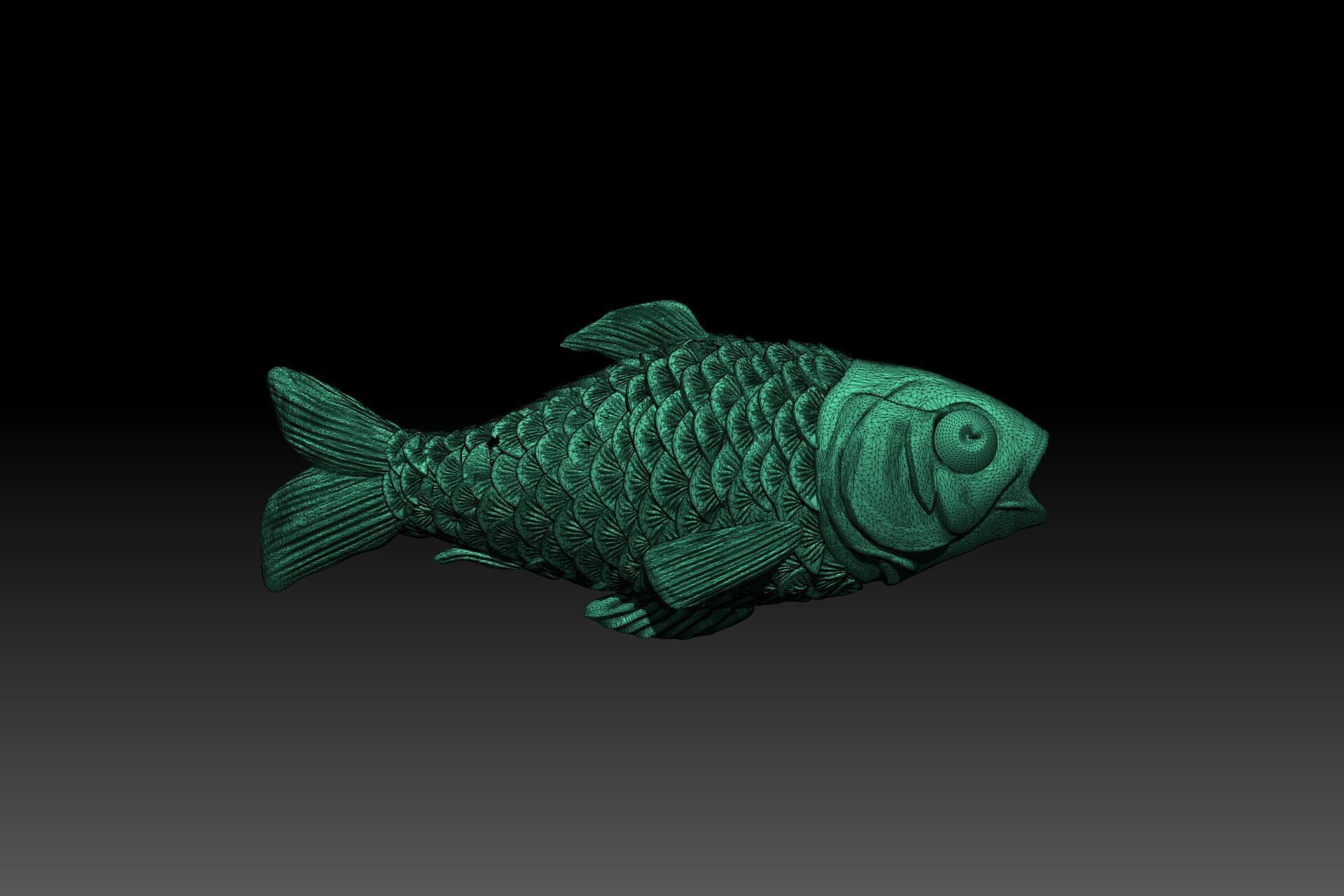 KATLA Fish 3D Model FOR 3D Printed 3D print model_4