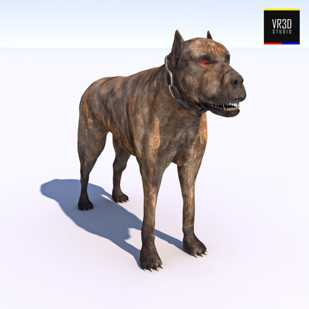 Vicious Dog 3D model_3