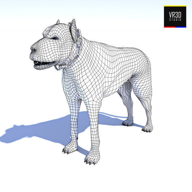 Vicious Dog 3D model_5