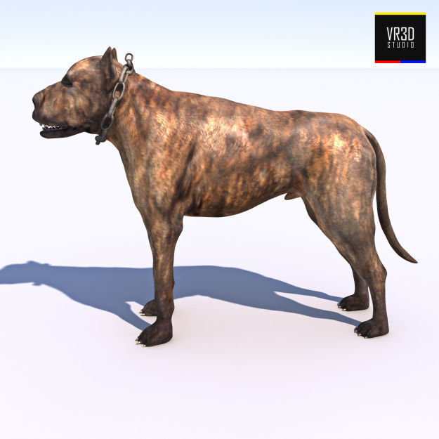 Vicious Dog 3D model_1
