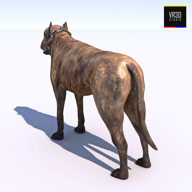 Vicious Dog 3D model_2