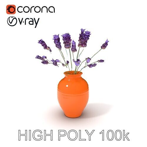 Terracotta Vase with Lavender Model Pack Low-poly 3D model