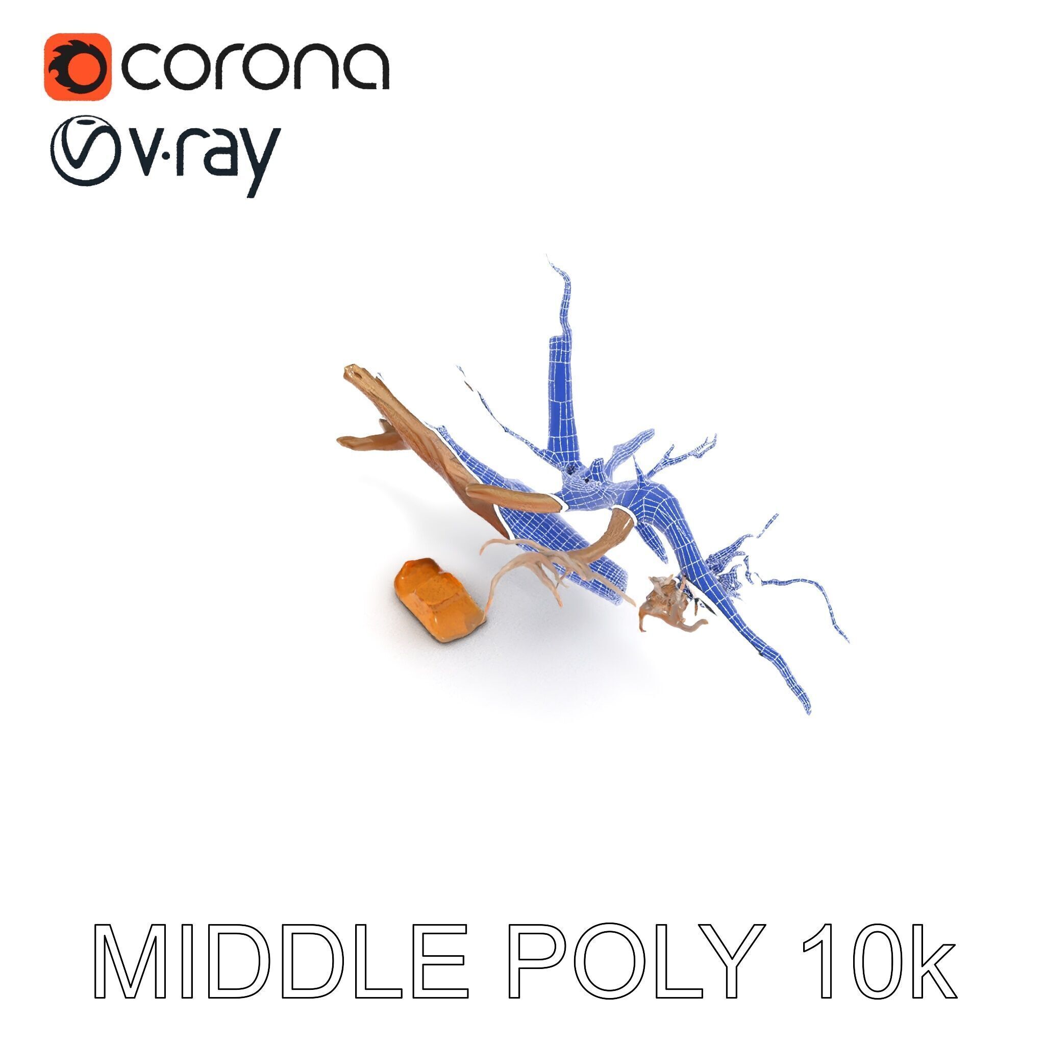 Beach Driftwood and Sand with Shells Model Pack Low-poly 3D model_17