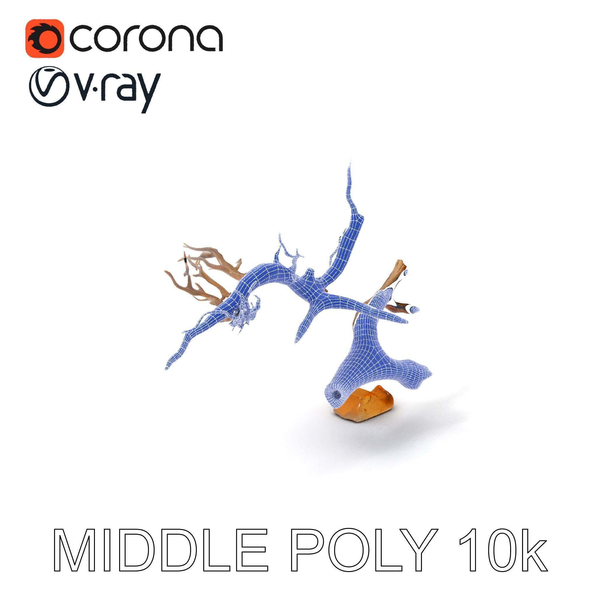 Beach Driftwood and Sand with Shells Model Pack Low-poly 3D model_23