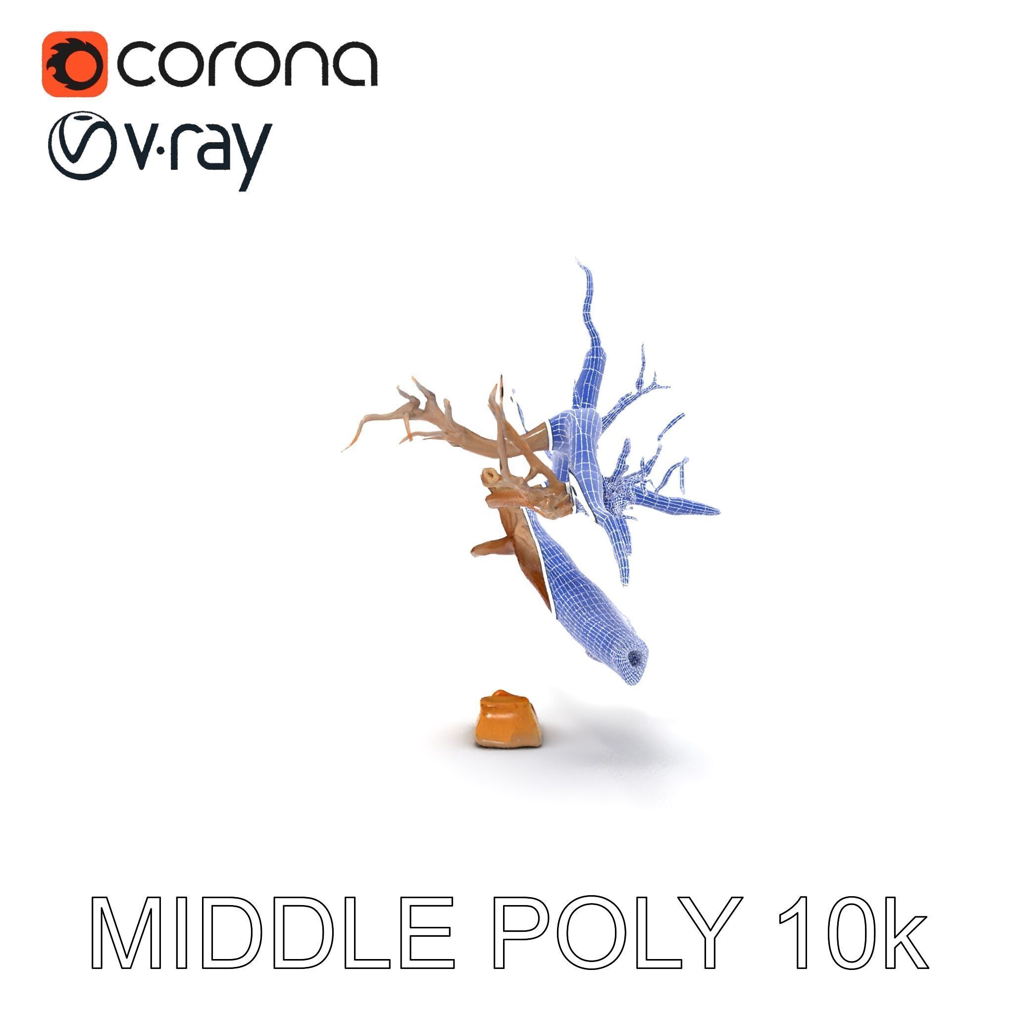 Beach Driftwood and Sand with Shells Model Pack Low-poly 3D model_9