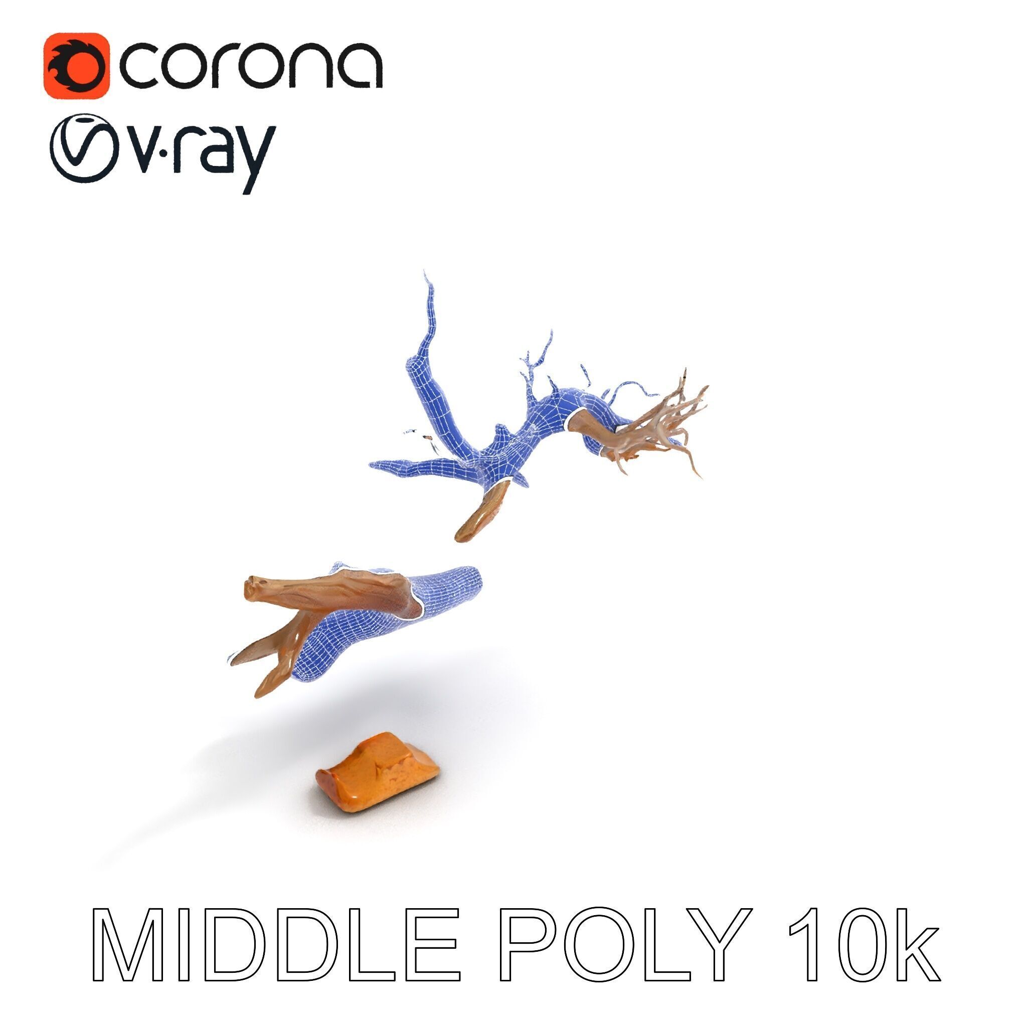 Beach Driftwood and Sand with Shells Model Pack Low-poly 3D model_14