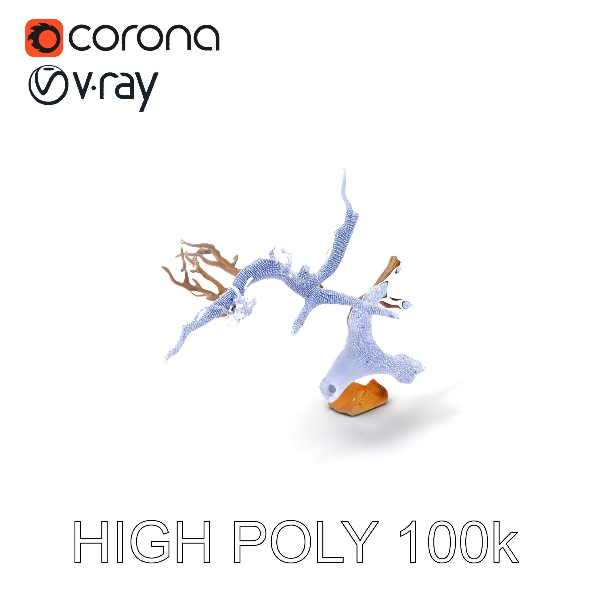 Beach Driftwood and Sand with Shells Model Pack Low-poly 3D model_3