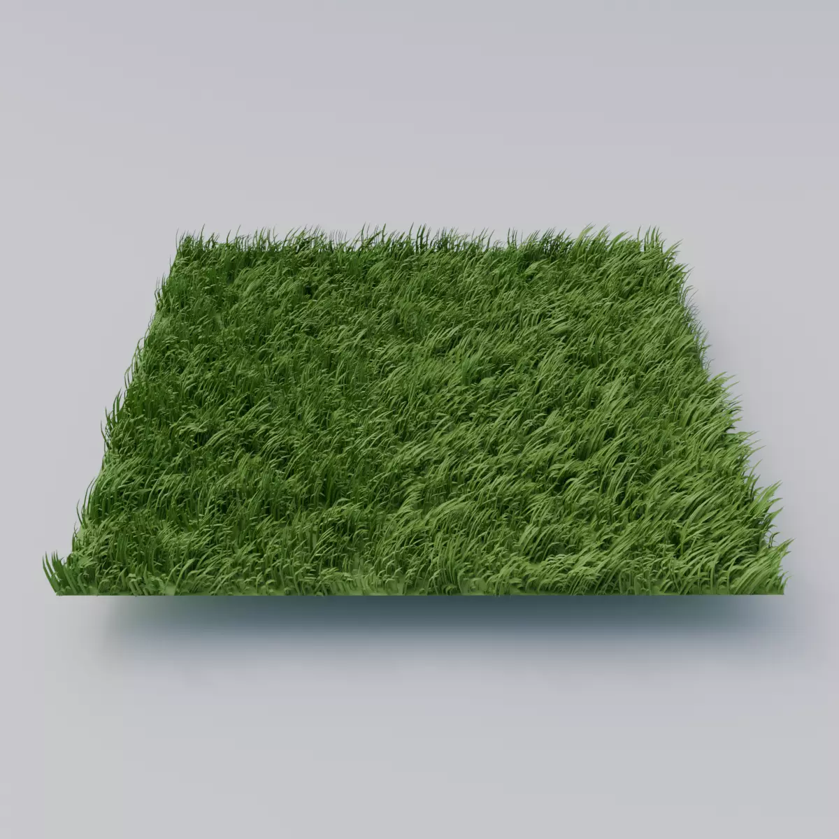 Grass Low-poly 3D model_0