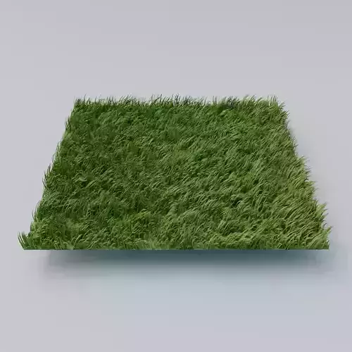 Grass Low-poly 3D model