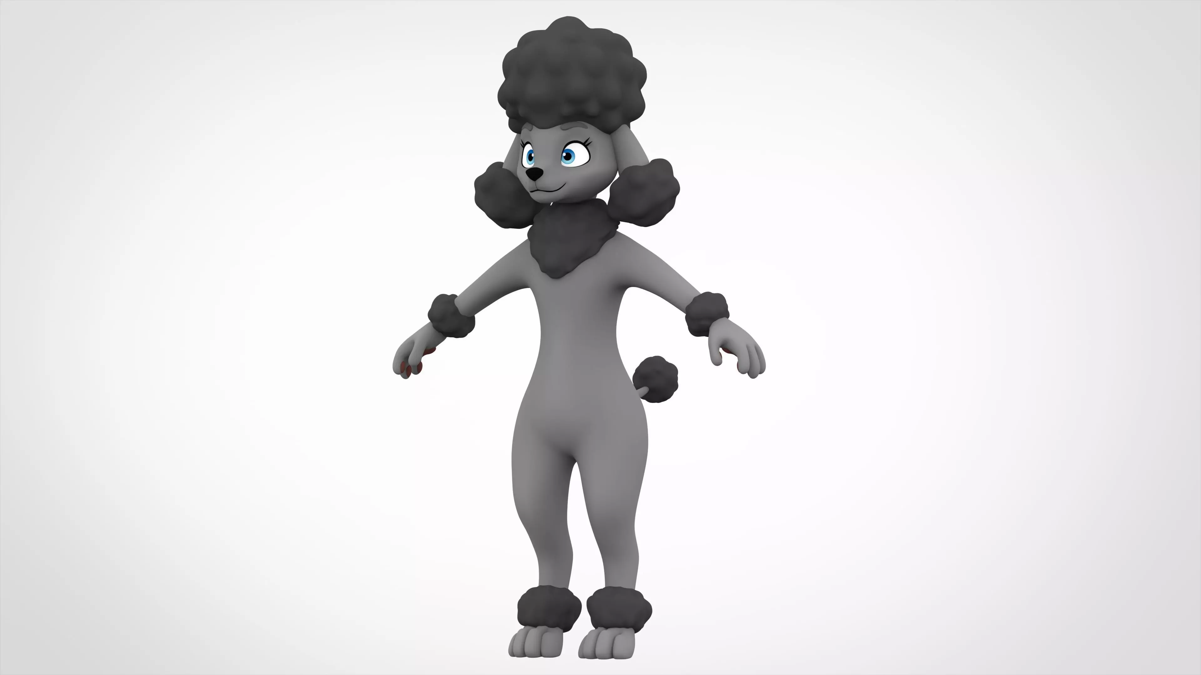 Grey Poodle 3D model_0