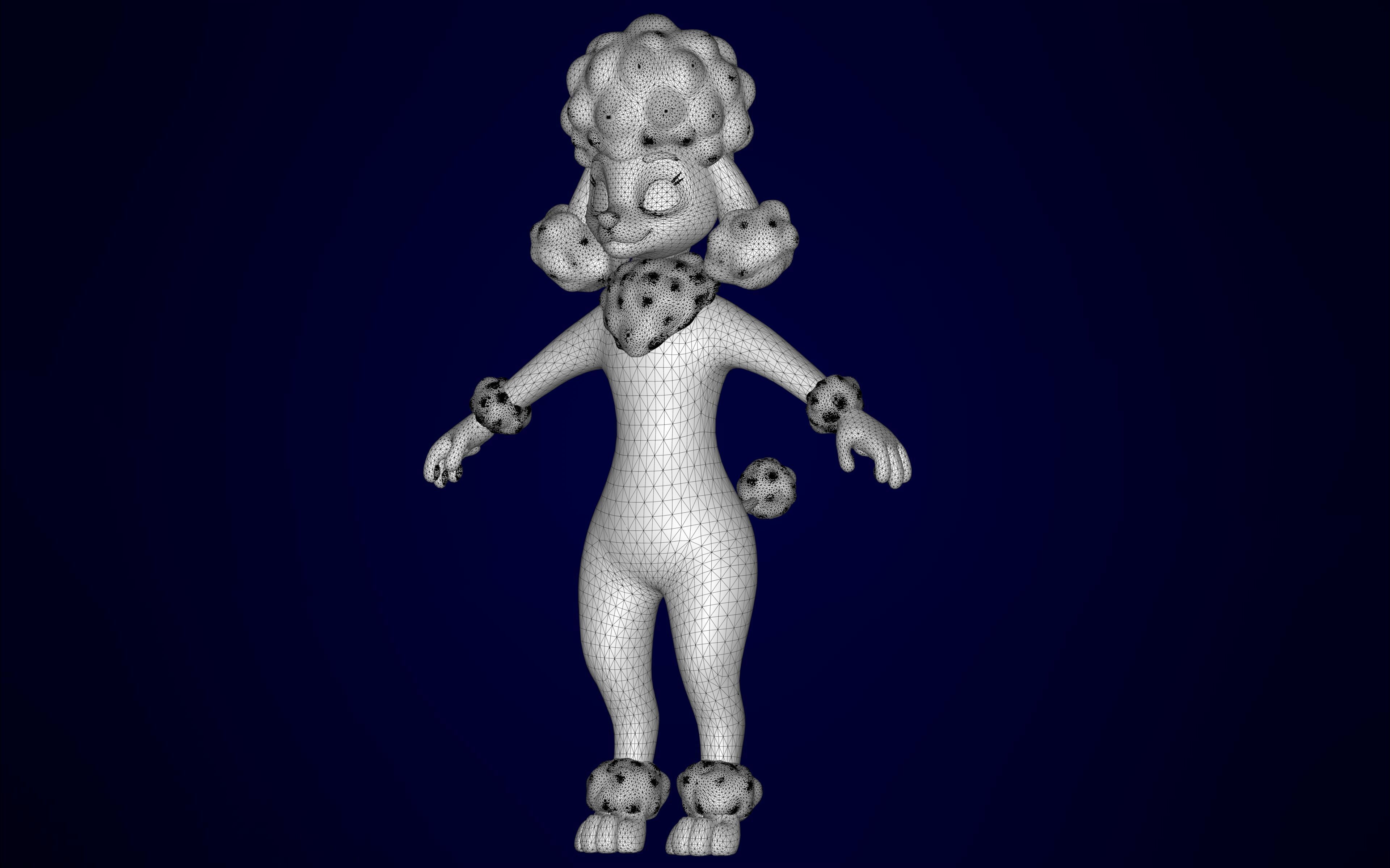 Grey Poodle 3D model_10