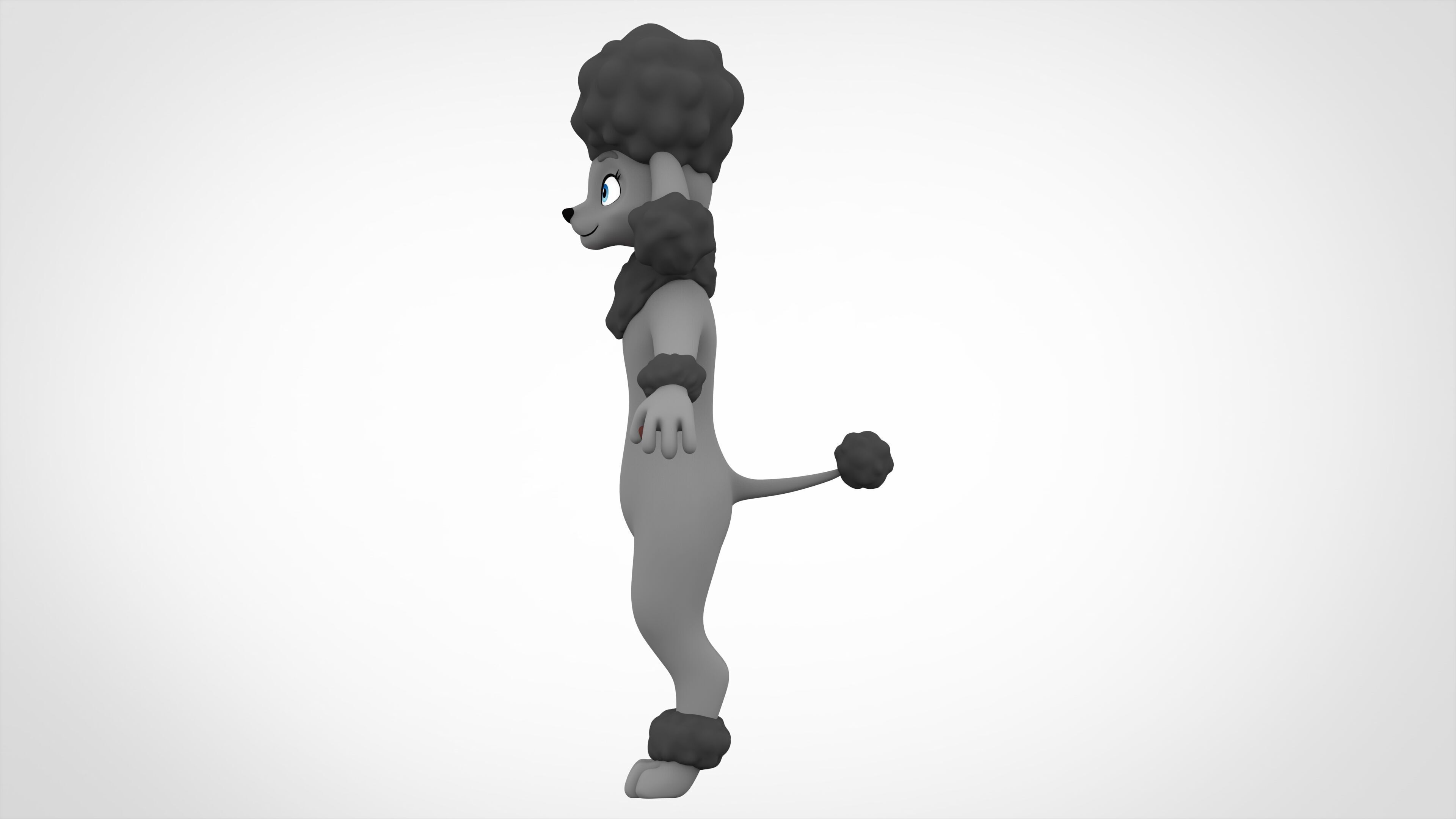 Grey Poodle 3D model_2