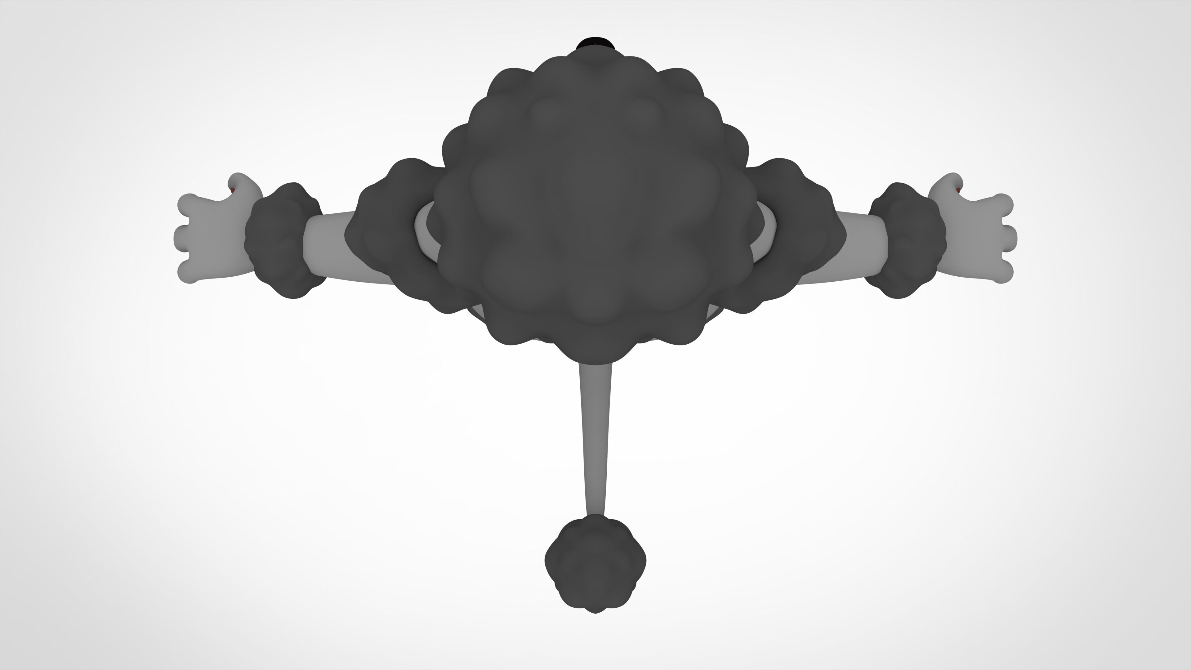 Grey Poodle 3D model_4