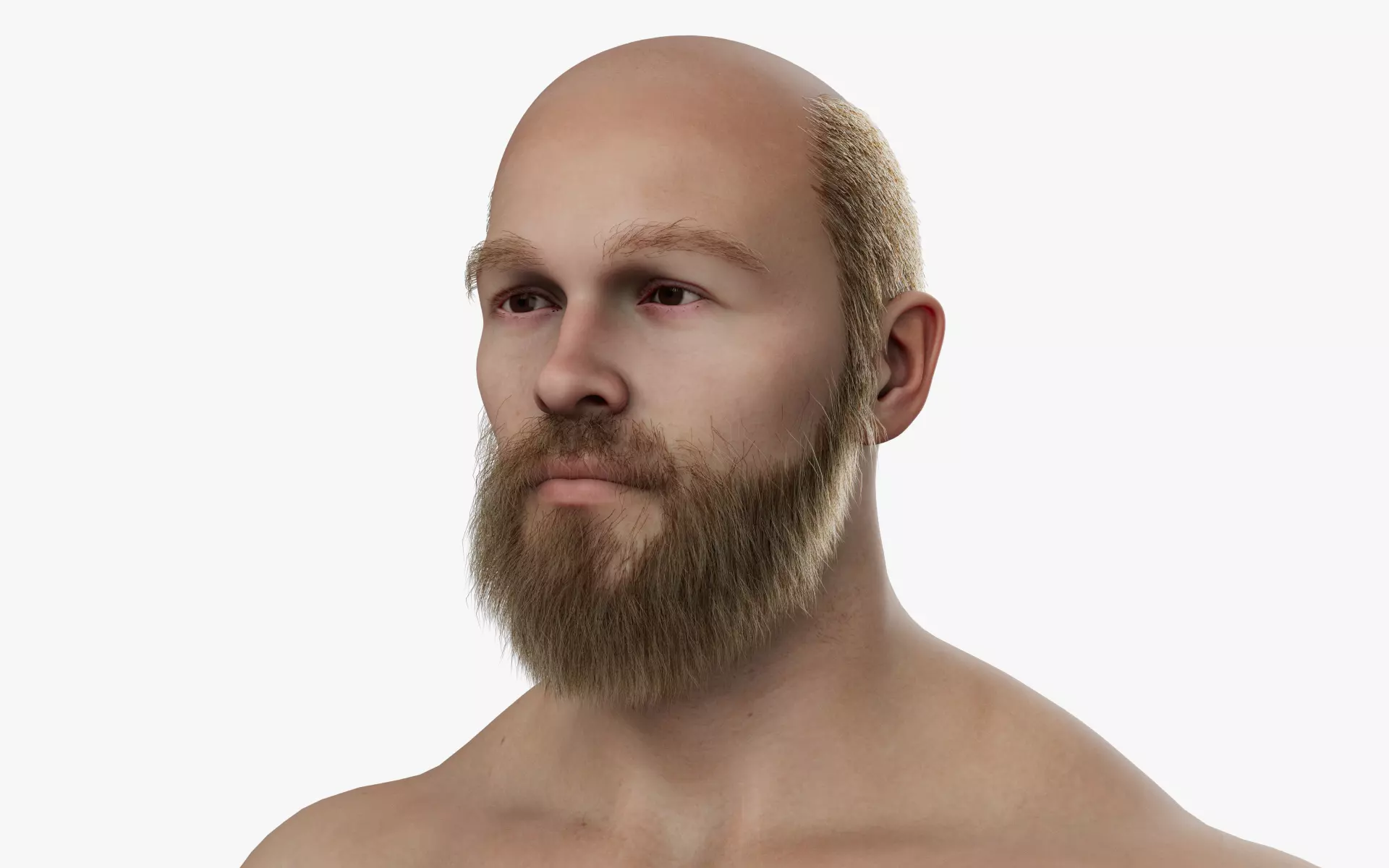 CUSTOM MALE HEAD - BODY MESH FOR METAHUMAN UNREAL ENGINE 5 READY 3D model_0