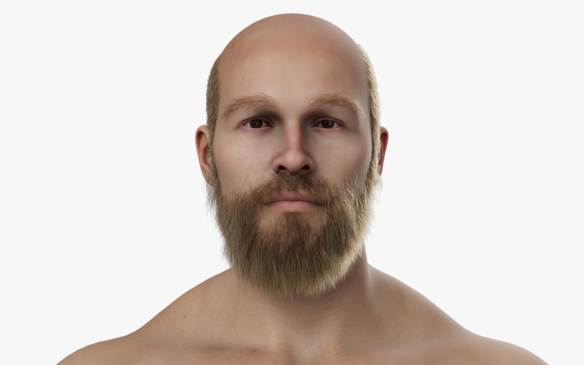 CUSTOM MALE HEAD - BODY MESH FOR METAHUMAN UNREAL ENGINE 5 READY 3D model_13