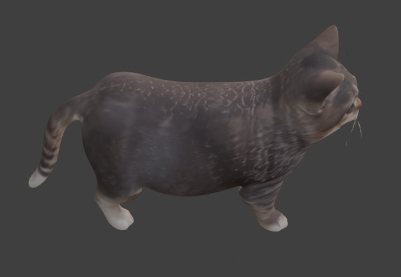 Tabby Cat Realistic Game-Ready 3D Model with PBR Textures Low-poly 3D model_18