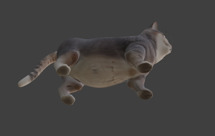 Tabby Cat Realistic Game-Ready 3D Model with PBR Textures Low-poly 3D model_24