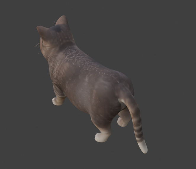 Tabby Cat Realistic Game-Ready 3D Model with PBR Textures Low-poly 3D model_7