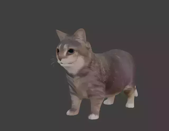 Tabby Cat Realistic Game-Ready 3D Model with PBR Textures