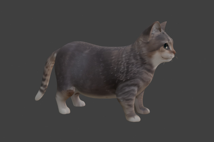Tabby Cat Realistic Game-Ready 3D Model with PBR Textures Low-poly 3D model_3