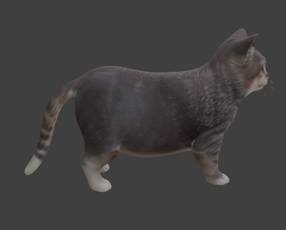Tabby Cat Realistic Game-Ready 3D Model with PBR Textures Low-poly 3D model_9