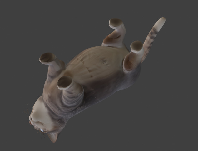 Tabby Cat Realistic Game-Ready 3D Model with PBR Textures Low-poly 3D model_15