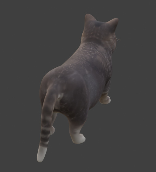 Tabby Cat Realistic Game-Ready 3D Model with PBR Textures Low-poly 3D model_8