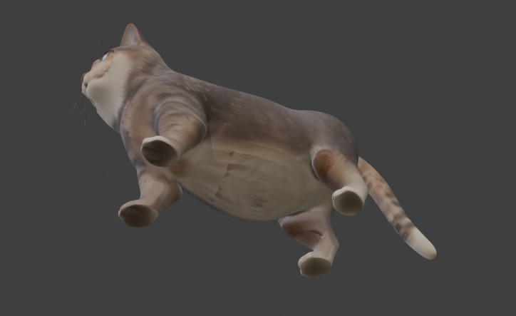 Tabby Cat Realistic Game-Ready 3D Model with PBR Textures Low-poly 3D model_28