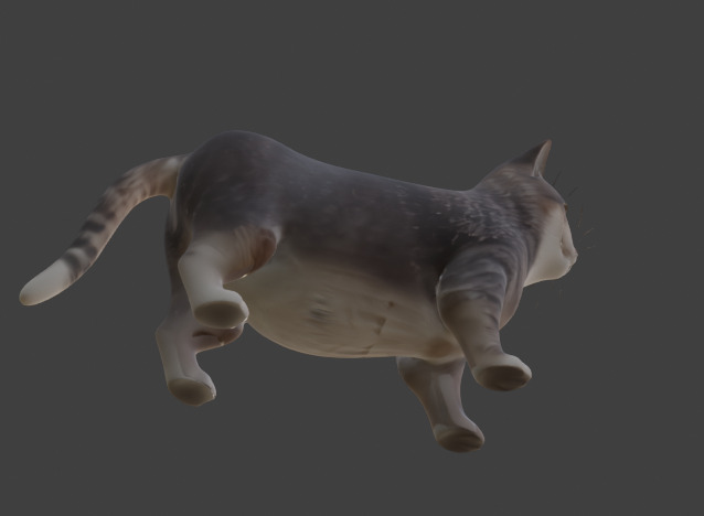 Tabby Cat Realistic Game-Ready 3D Model with PBR Textures Low-poly 3D model_27