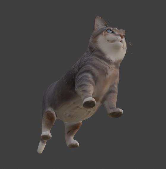 Tabby Cat Realistic Game-Ready 3D Model with PBR Textures Low-poly 3D model_11