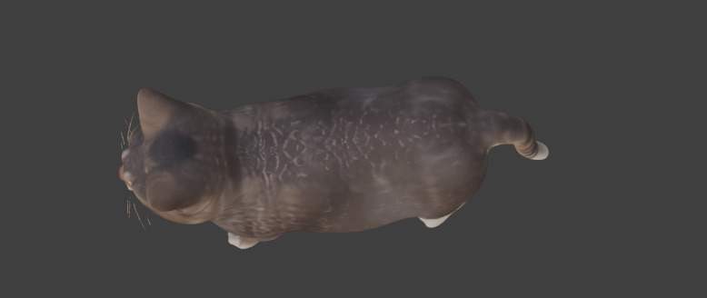 Tabby Cat Realistic Game-Ready 3D Model with PBR Textures Low-poly 3D model_5