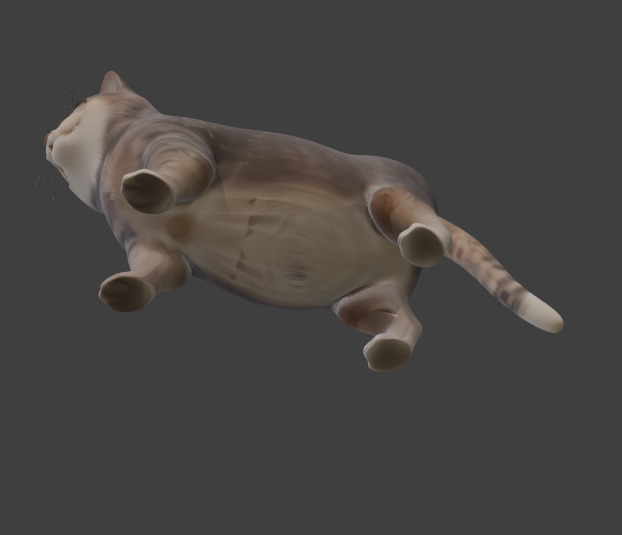 Tabby Cat Realistic Game-Ready 3D Model with PBR Textures Low-poly 3D model_13