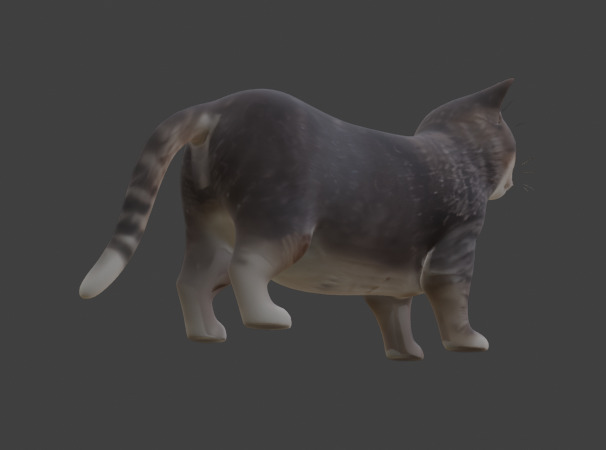 Tabby Cat Realistic Game-Ready 3D Model with PBR Textures Low-poly 3D model_26