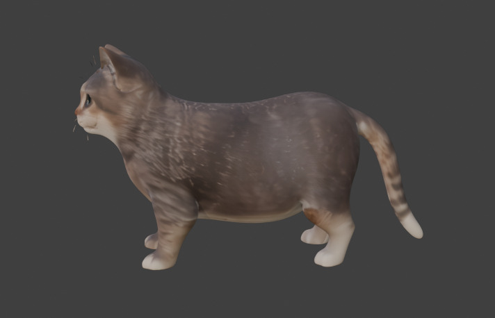 Tabby Cat Realistic Game-Ready 3D Model with PBR Textures Low-poly 3D model_1