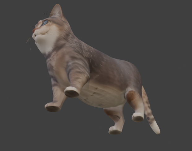 Tabby Cat Realistic Game-Ready 3D Model with PBR Textures Low-poly 3D model_12