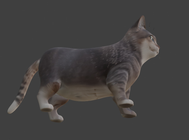 Tabby Cat Realistic Game-Ready 3D Model with PBR Textures Low-poly 3D model_10