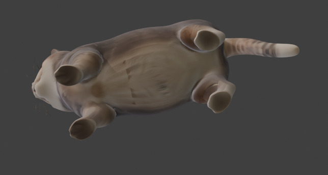 Tabby Cat Realistic Game-Ready 3D Model with PBR Textures Low-poly 3D model_14