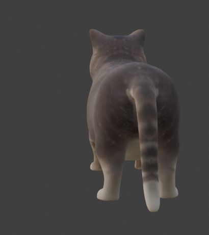 Tabby Cat Realistic Game-Ready 3D Model with PBR Textures Low-poly 3D model_16