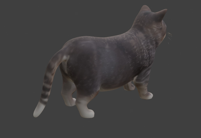 Tabby Cat Realistic Game-Ready 3D Model with PBR Textures Low-poly 3D model_17