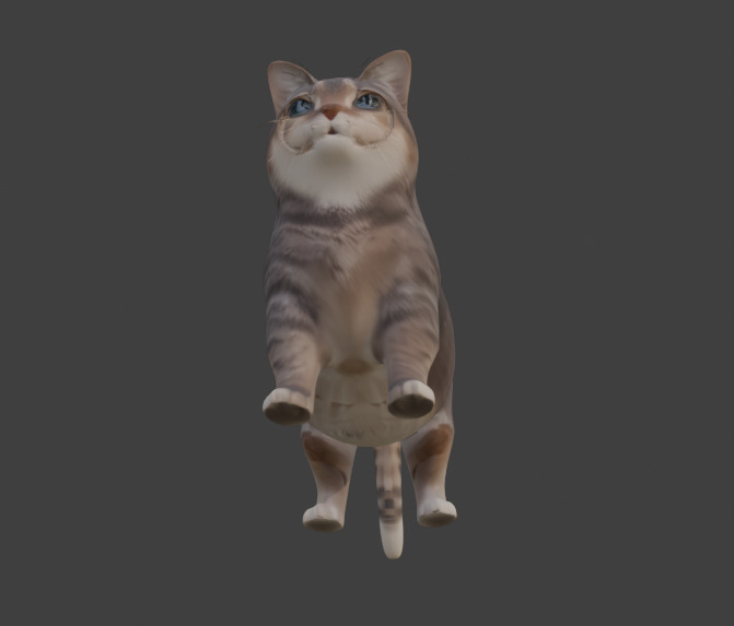 Tabby Cat Realistic Game-Ready 3D Model with PBR Textures Low-poly 3D model_25