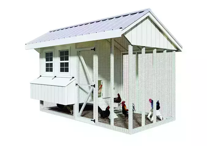 Hen hause white for 14-16 chickens 3D model
