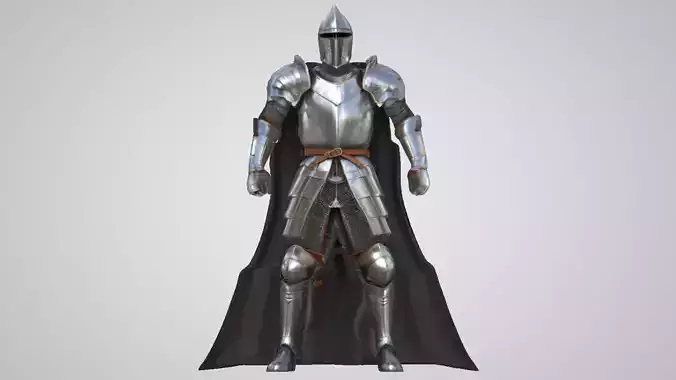 Elite Medieval Knight