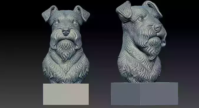 Miniature Schnauzer - Dwarf Schnauzer Dog model - 3D print 3D print model Miniature Schnauzer - Dwarf Schnauzer Dog model - 3D print 3D print model