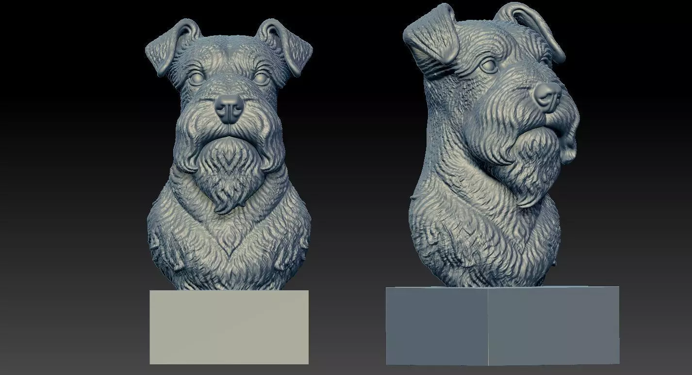 Miniature Schnauzer - Dwarf Schnauzer Dog model - 3D print 3D print model_0