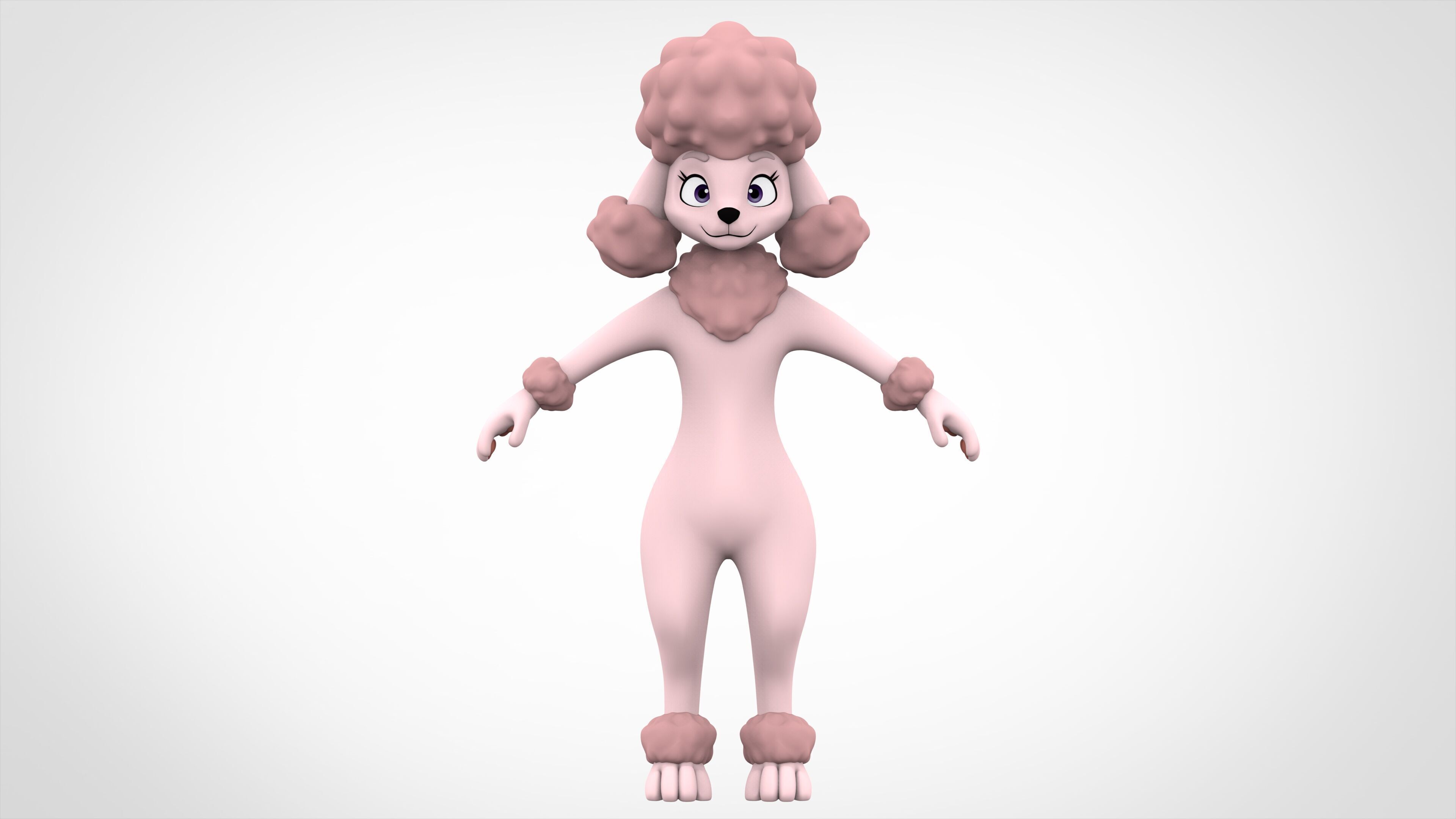 Poodle 3D model_1