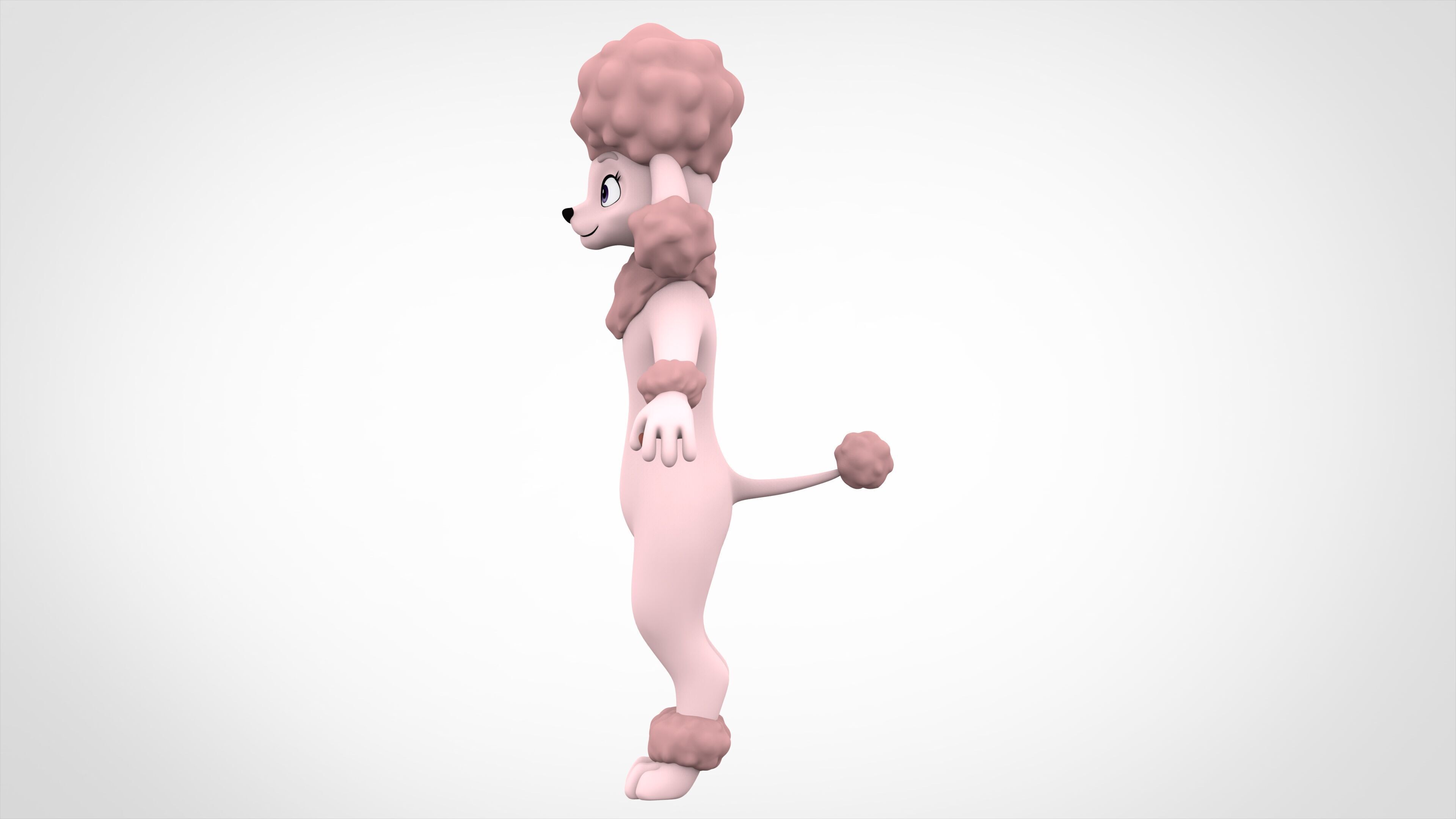 Poodle 3D model_2