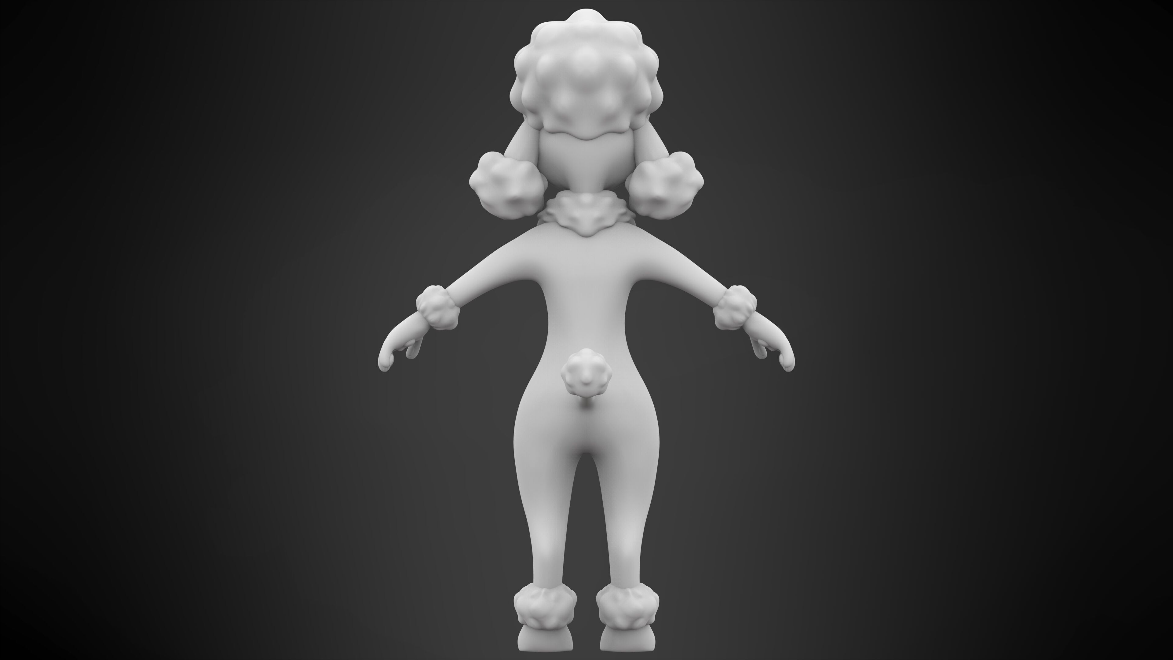 Poodle 3D model_8